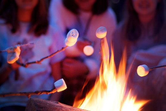 img_camping_smores_540x360