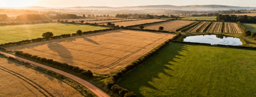How Do I Donate Land To Charity?