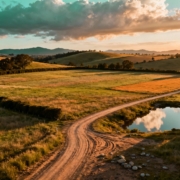 How To Donate Property To Charity